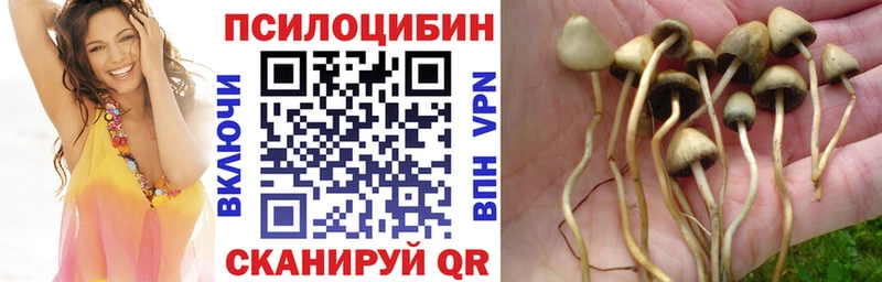 ссылка на мегу вход  Усмань  Галлюциногенные грибы Magic Shrooms  хочу наркоту 